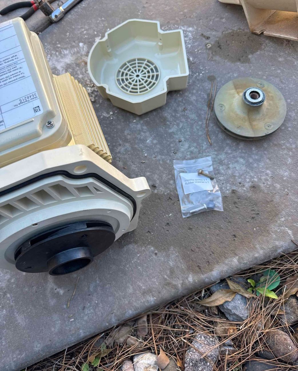 New pool pump impeller installed
